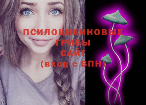 спайс Алзамай