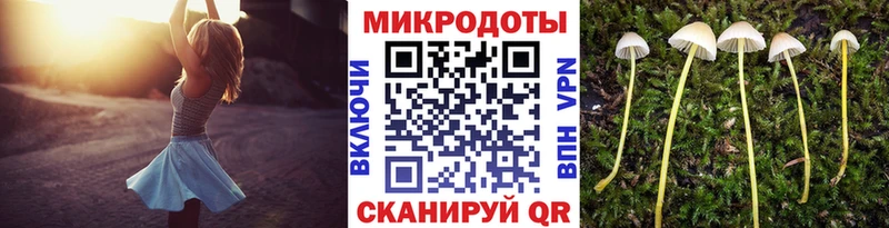 MEGA как войти  цены наркотик  Рыльск  Галлюциногенные грибы MAGIC MUSHROOMS 